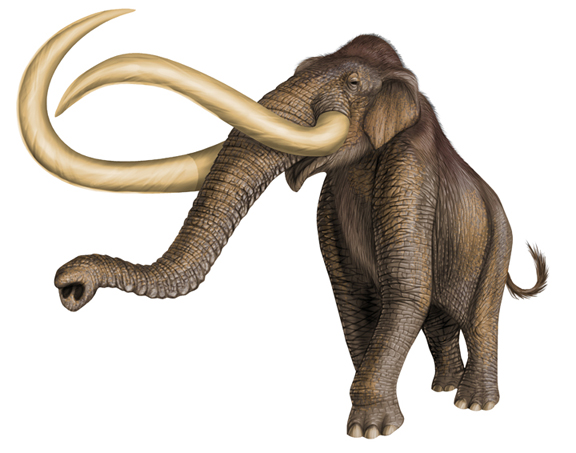 Mammoth