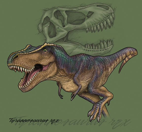T rex T rex A rather meanlooking Tyrannosaurus for a tshirt line drawn 